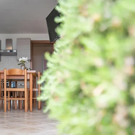 New One-bedroomed - Economic Option Appartement